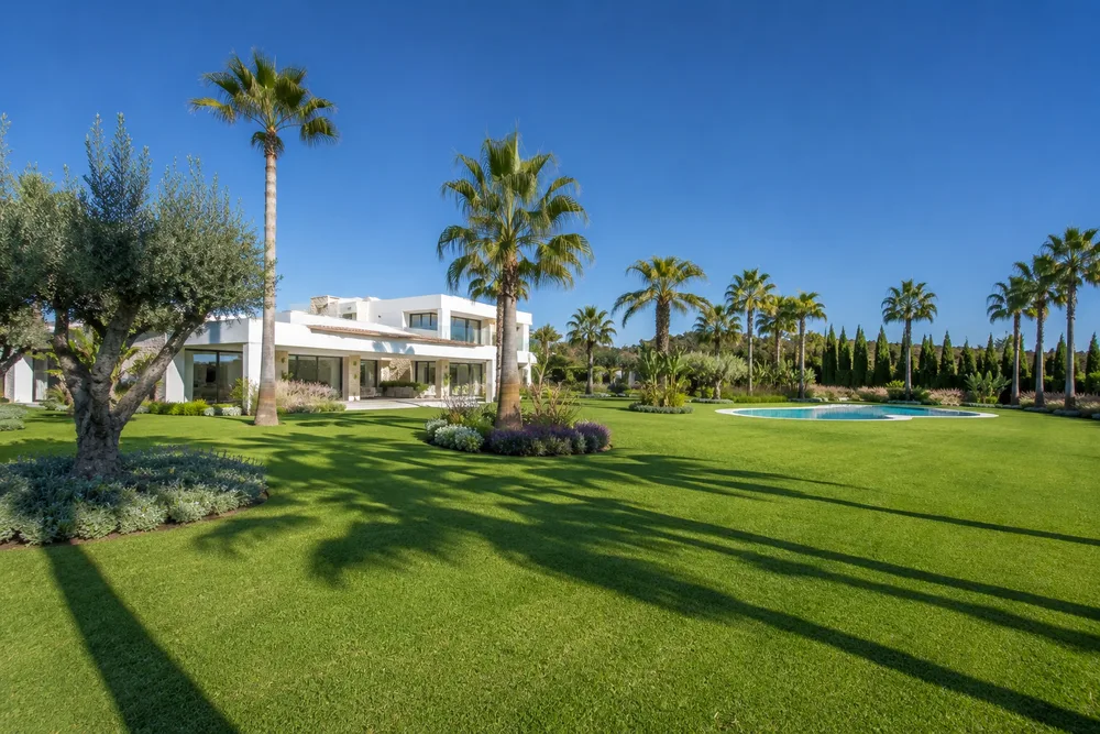 Césped natural con palmeras en jardín de villa en Calpe