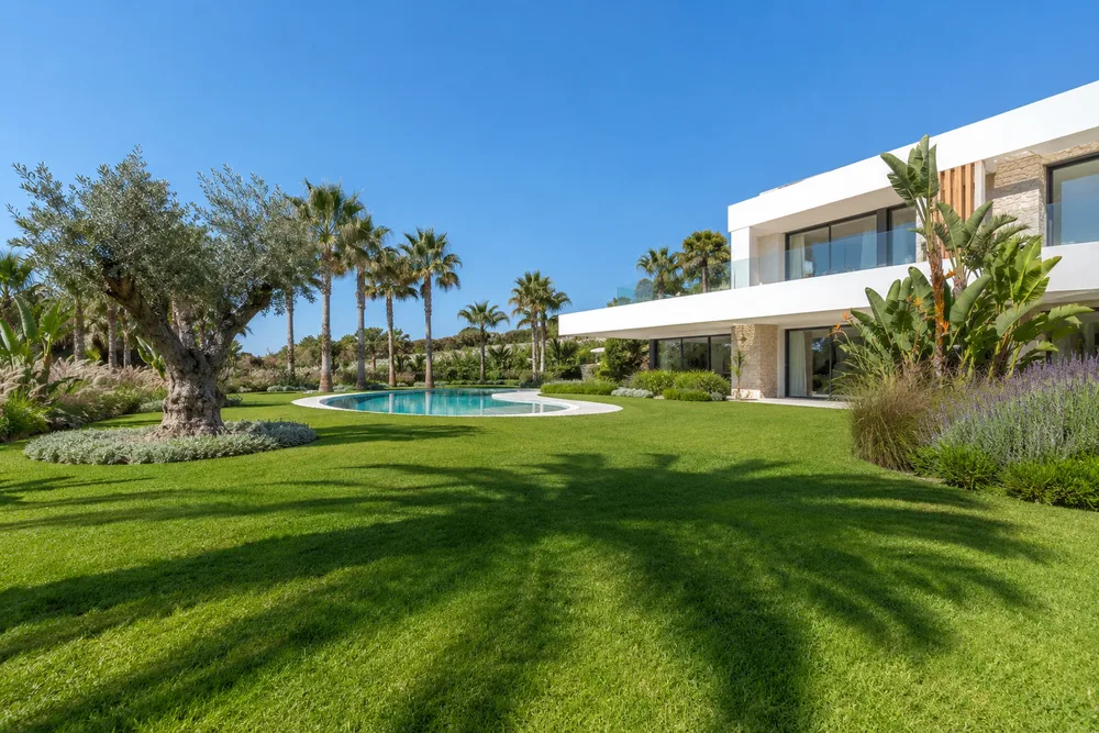 Diseño de jardín con olivo centenario y pavimento en villa de Calpe