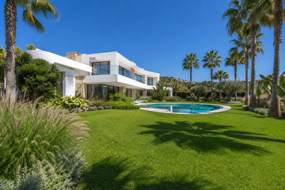 Entorno de piscina con palmeras y solárium en villa de Calpe